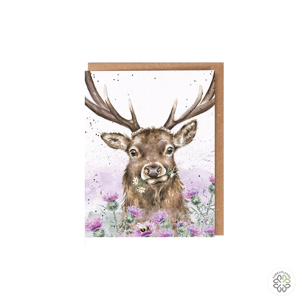 Wrendale Stag Seed Card - Thistle Make You Smile [optimised-1040-watermarked]