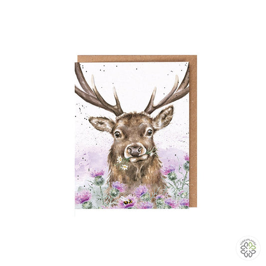 Wrendale Stag Seed Card - Thistle Make You Smile [optimised-1040-watermarked]