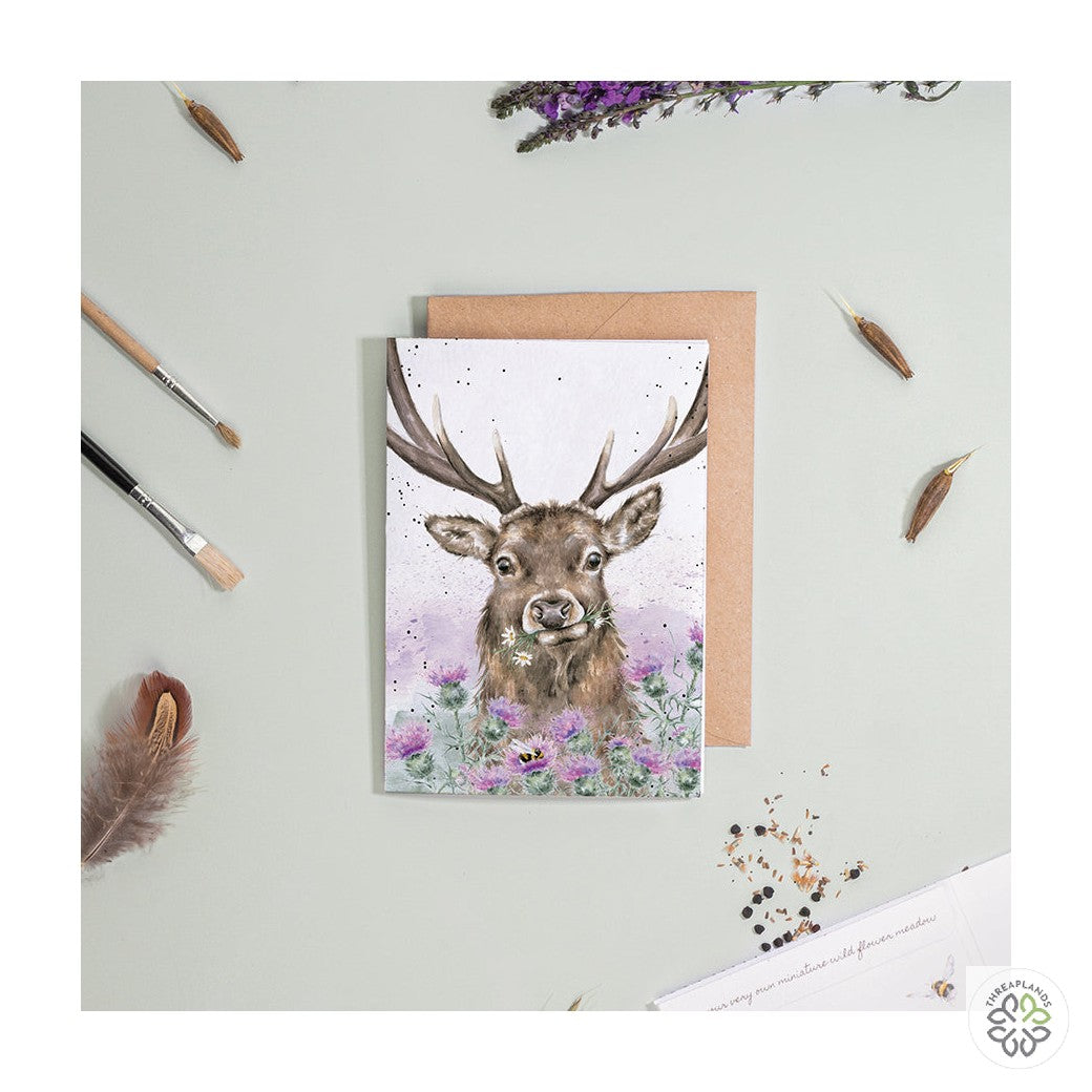 Wrendale Stag Seed Card - Thistle Make You Smile [optimised-1040-watermarked]