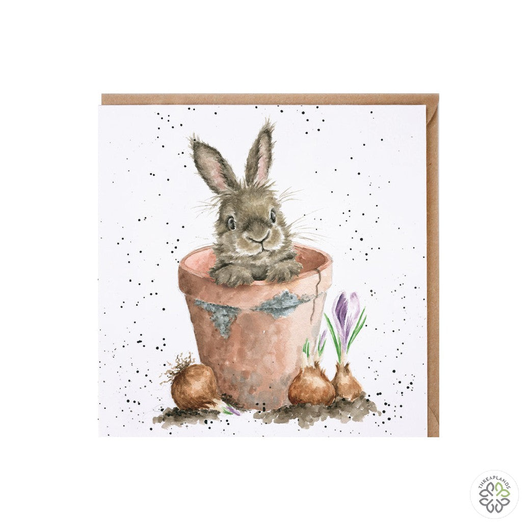 Wrendale Card - The Flower Pot [optimised-1040-watermarked]