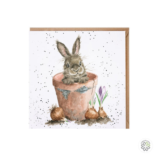 Wrendale Card - The Flower Pot [optimised-1040-watermarked]