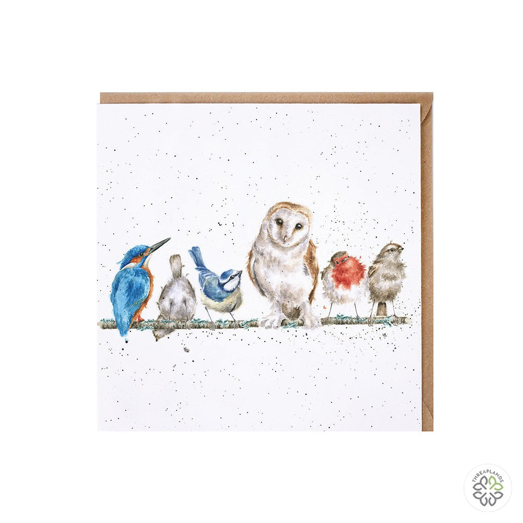 Wrendale The Variety of Life Birds [optimised-1040-watermarked]