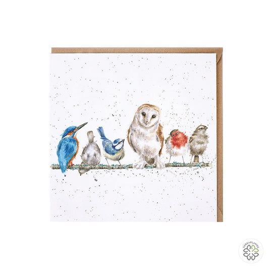 Wrendale The Variety of Life Birds [optimised-1040-watermarked]