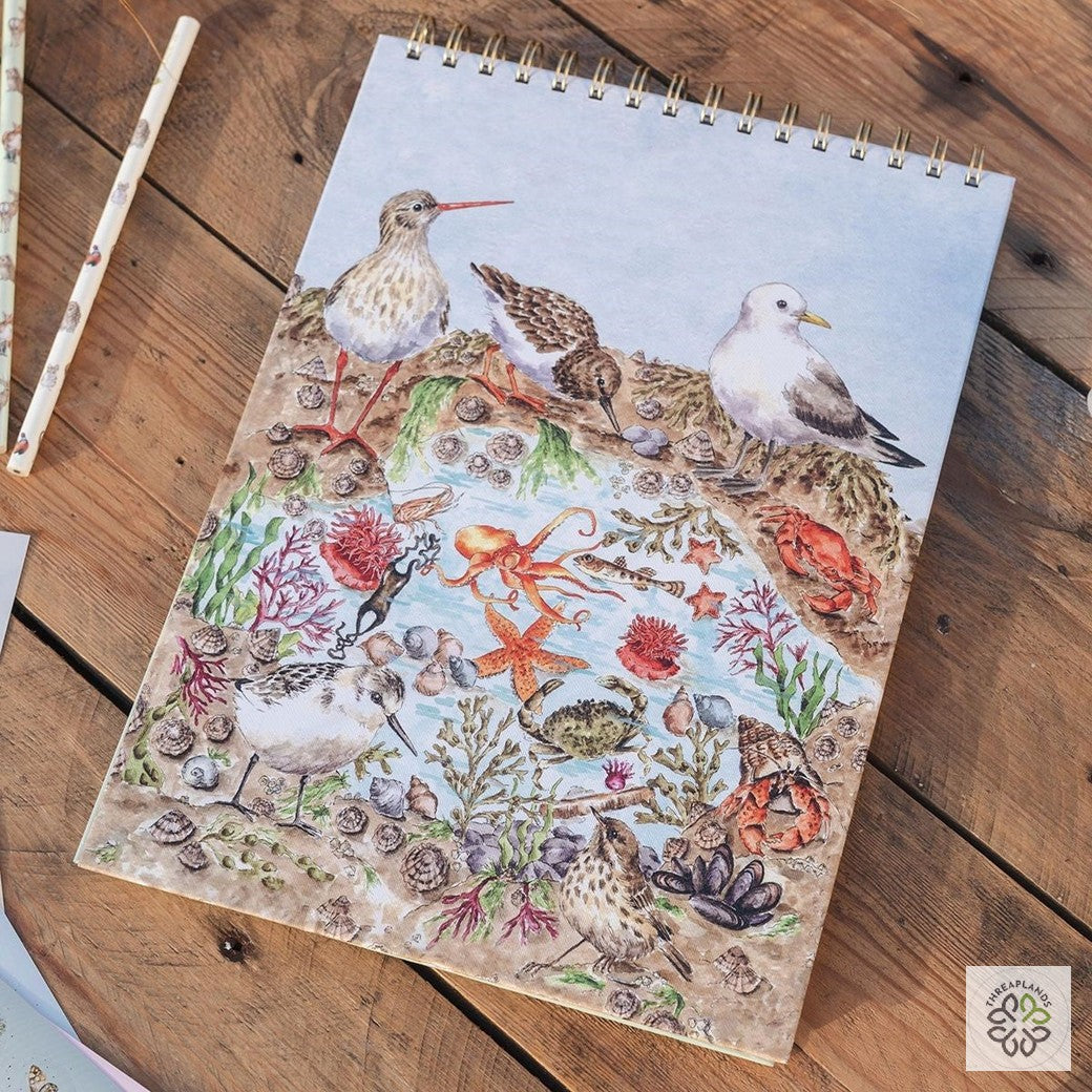 Wrendale Nature Sketchbook Seaside [optimised-1040-watermarked]