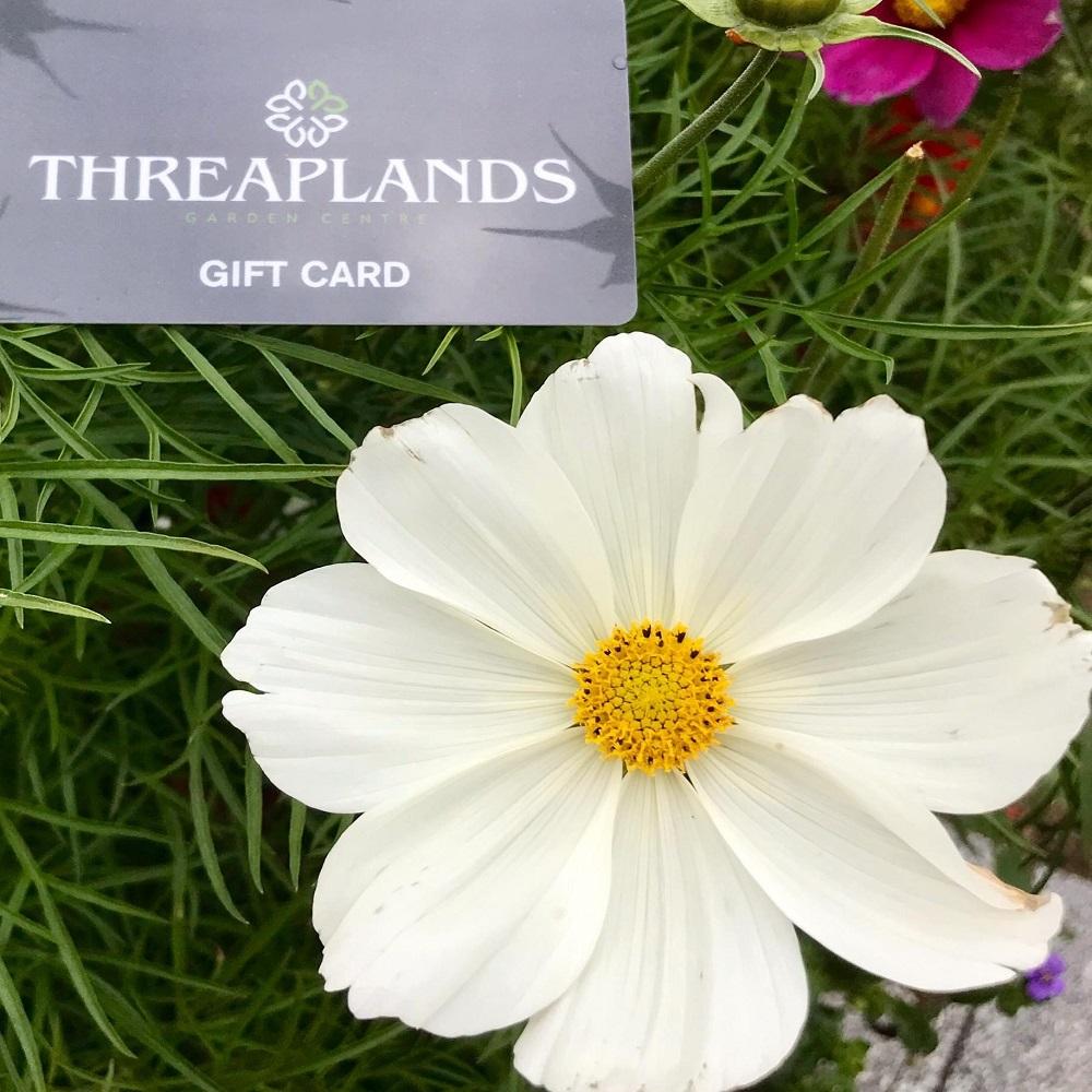 Threaplands gift card
